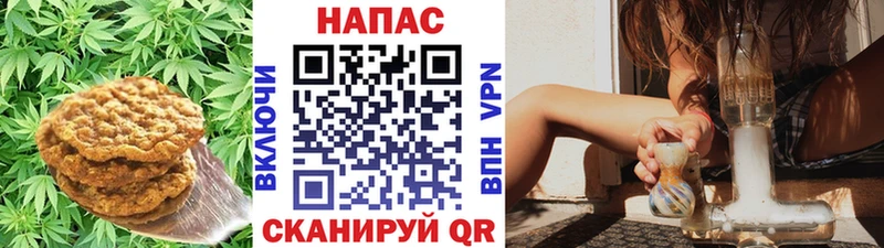 mega   Воткинск  Печенье с ТГК конопля 